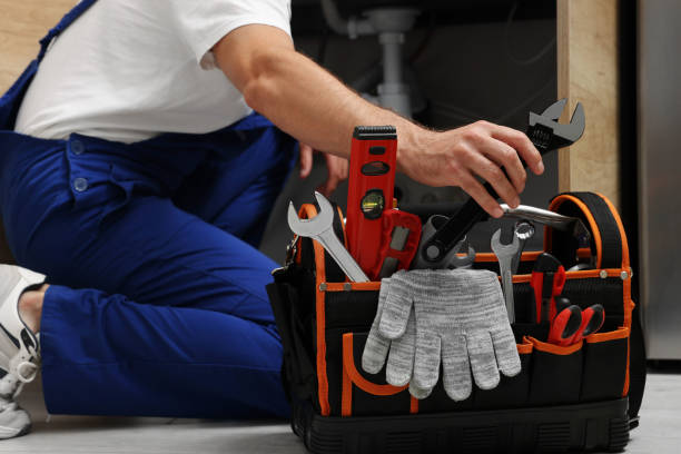 Best Clogged Drain Plumber  in Harrison, WI